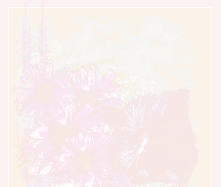 Kotek pilnujący gerberów